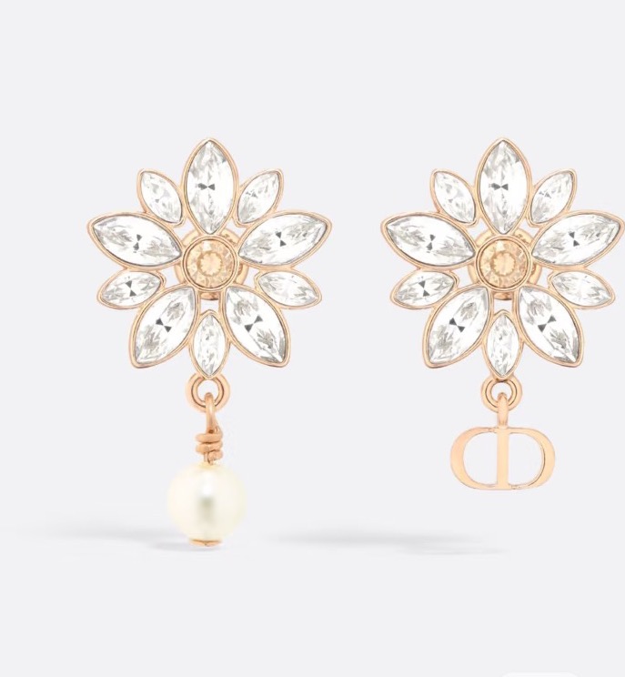 Dior Earring 05yxs61